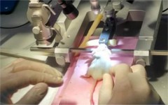 ru 19 laboratory 08.jpg